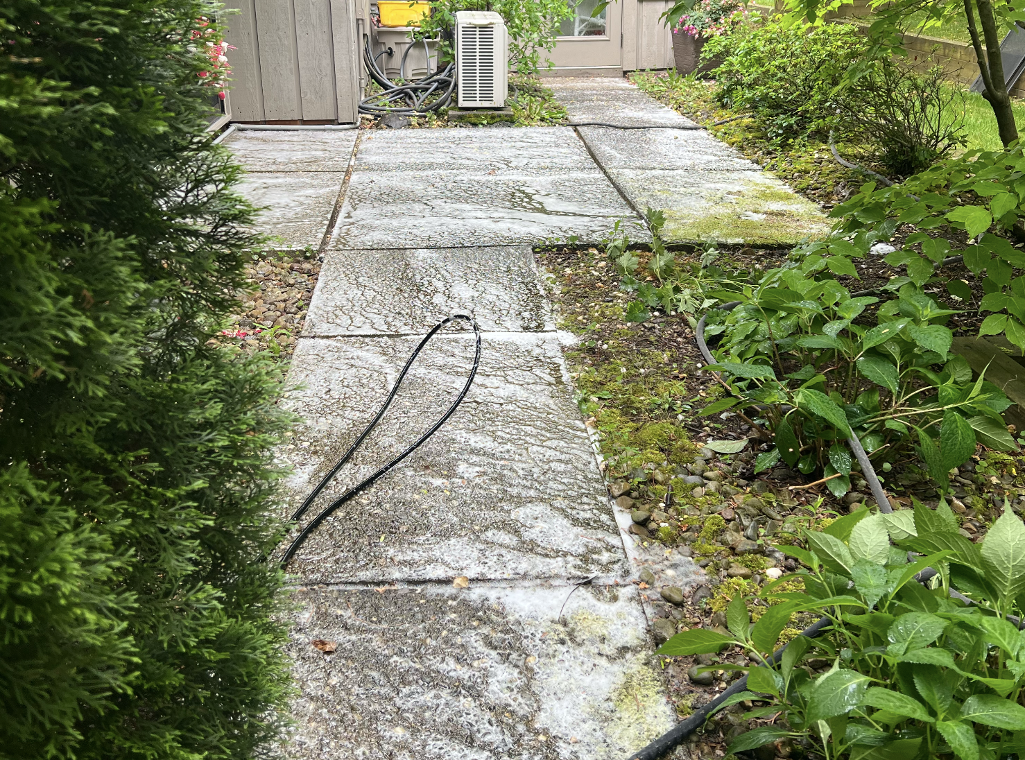 Chemical treatment applied during professional concrete cleaning