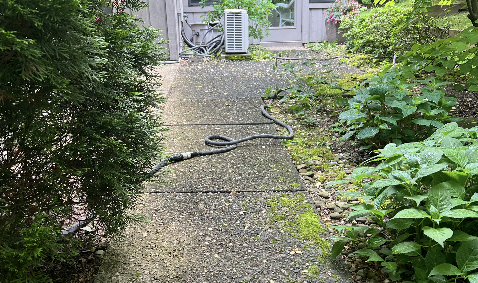 Concrete driveway before professional cleaning