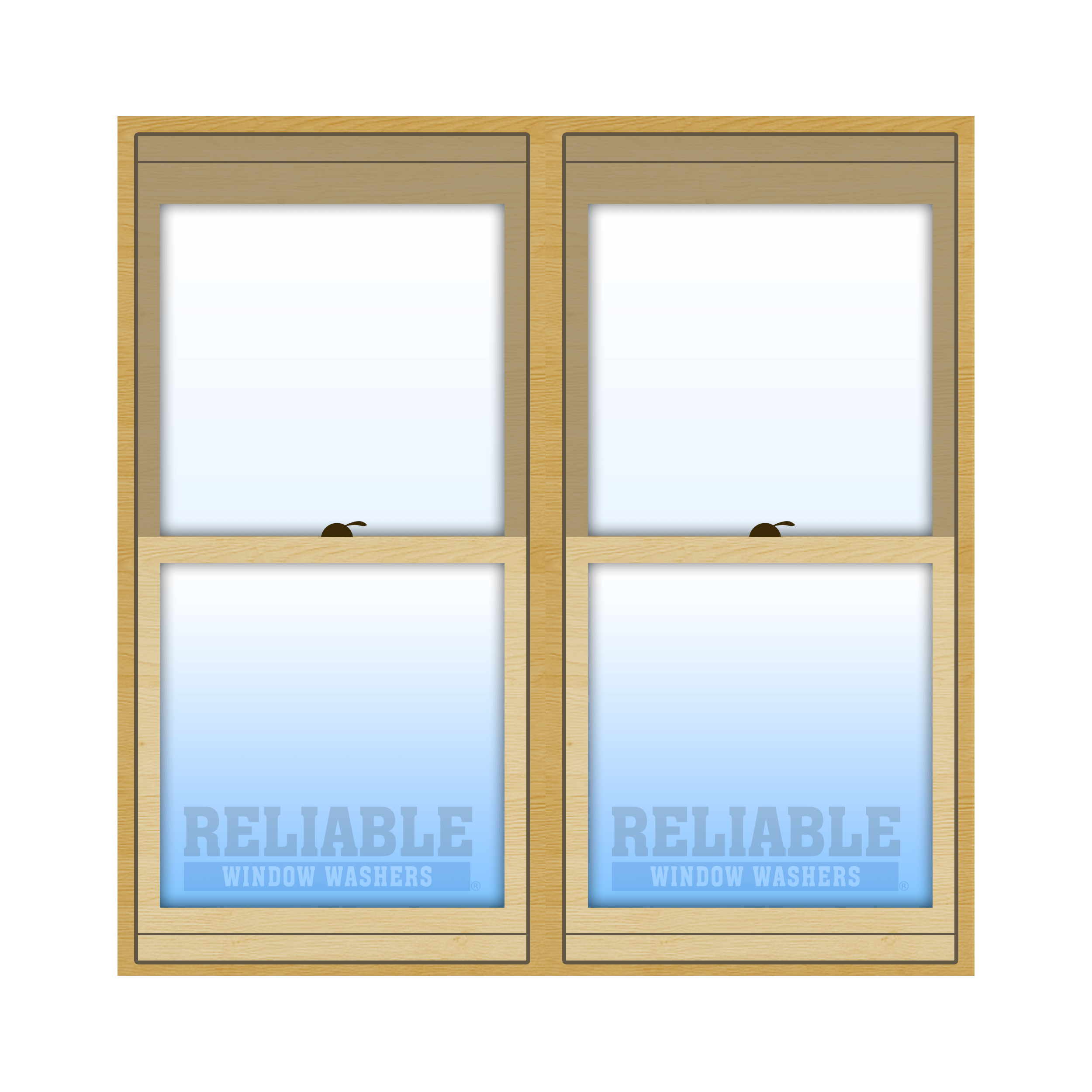 2 Single / Double Hung Windows